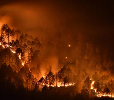 contaminación del agua por incendios forestales